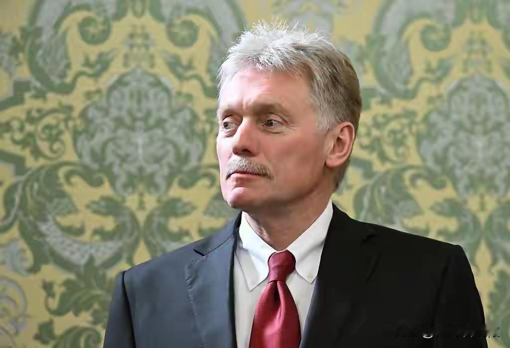 俄总统新闻秘书：俄乌问题解决进程正在加快