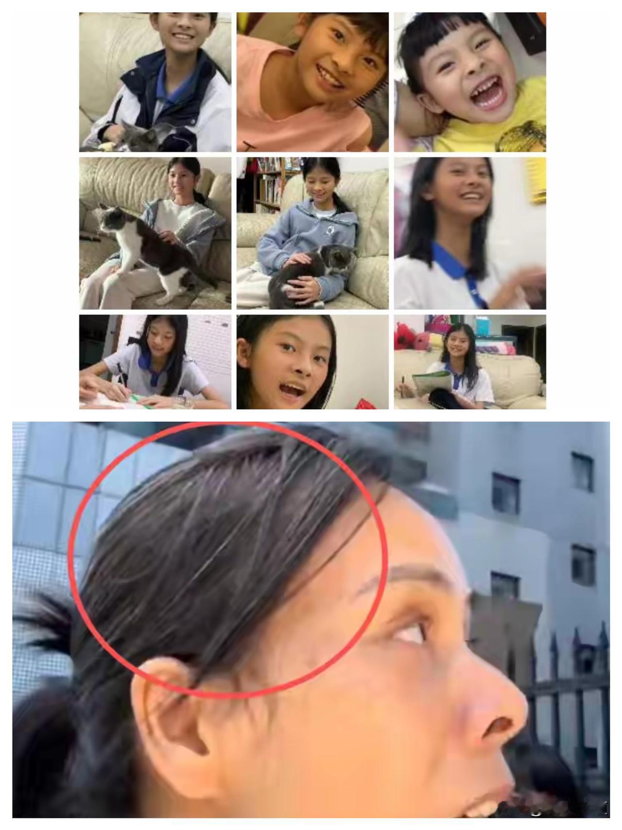 三年接送换不来一丝善意？这起悲剧真的太戳心
 
无偿接送三年的邻家男孩，竟成了杀