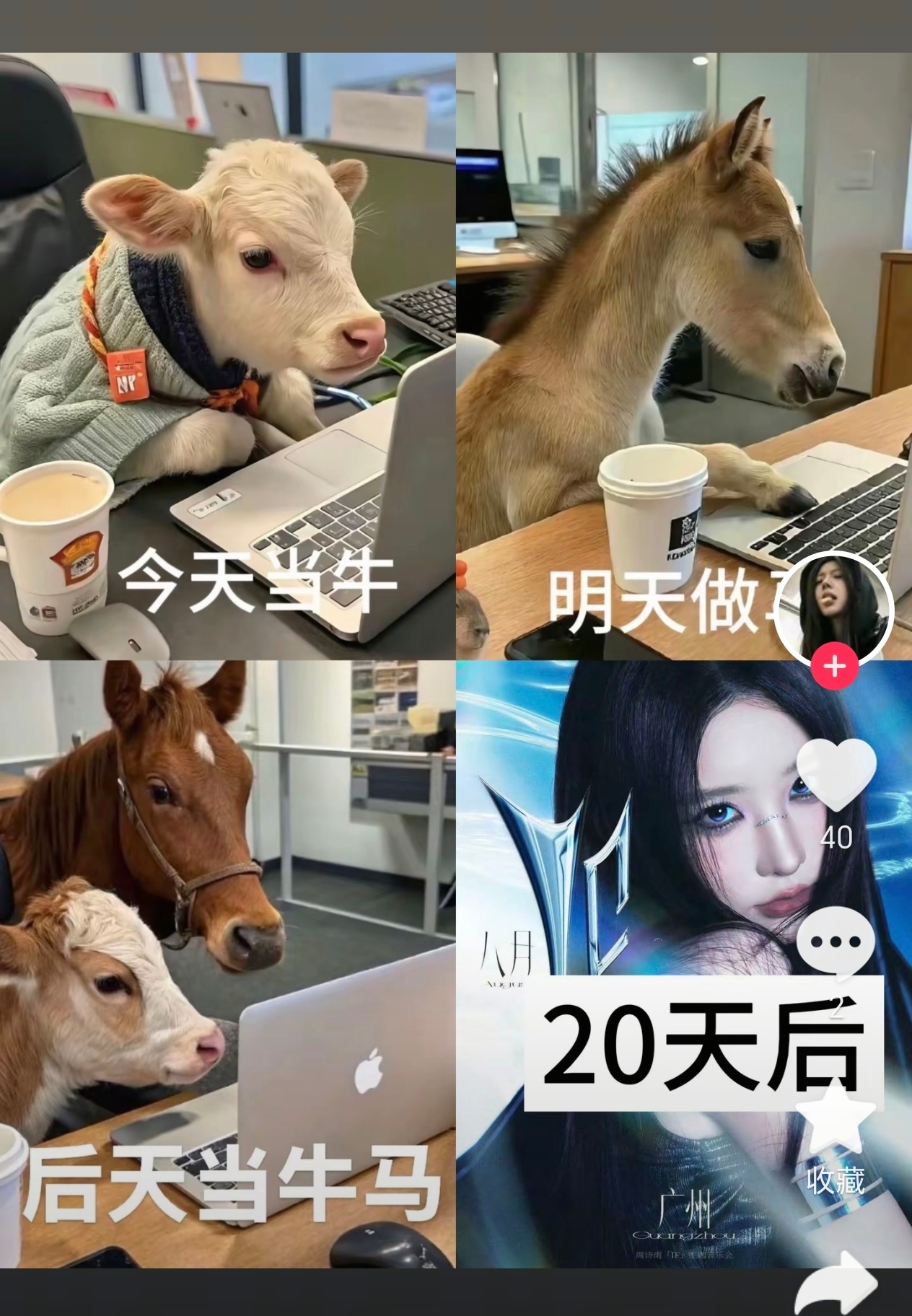 这个抖抖迟早把我的一生拍出来 