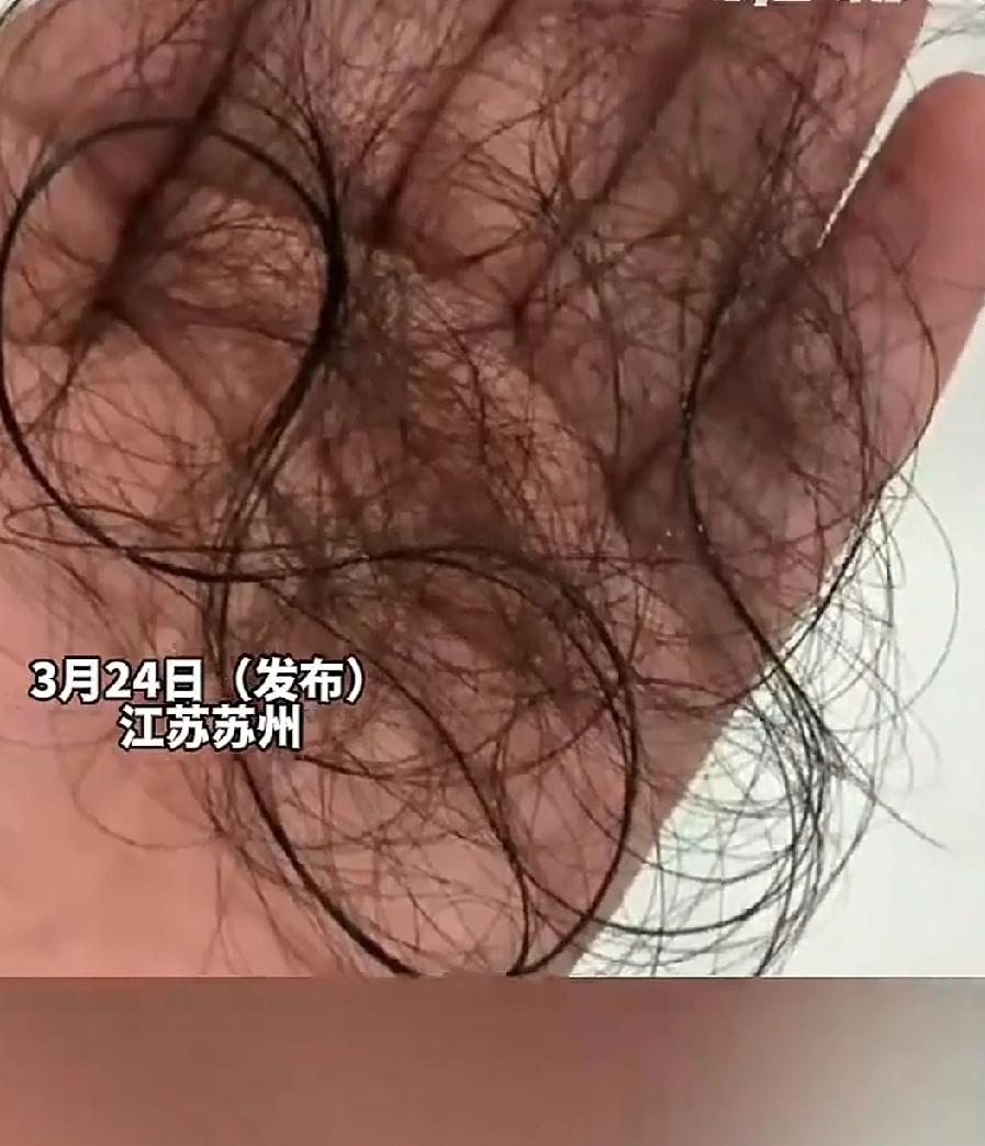 江苏苏州一宝妈领教了辅导孩子作业的个中滋味。
宝妈望子成龙心切，工作之余，还不忘
