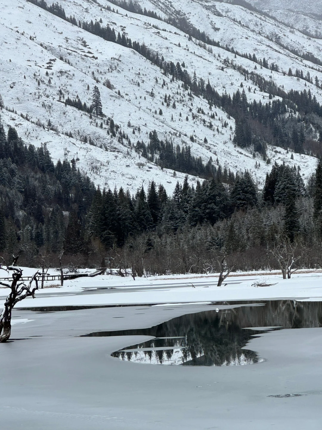 2.25📍四姑娘山雪景live，真心建议...