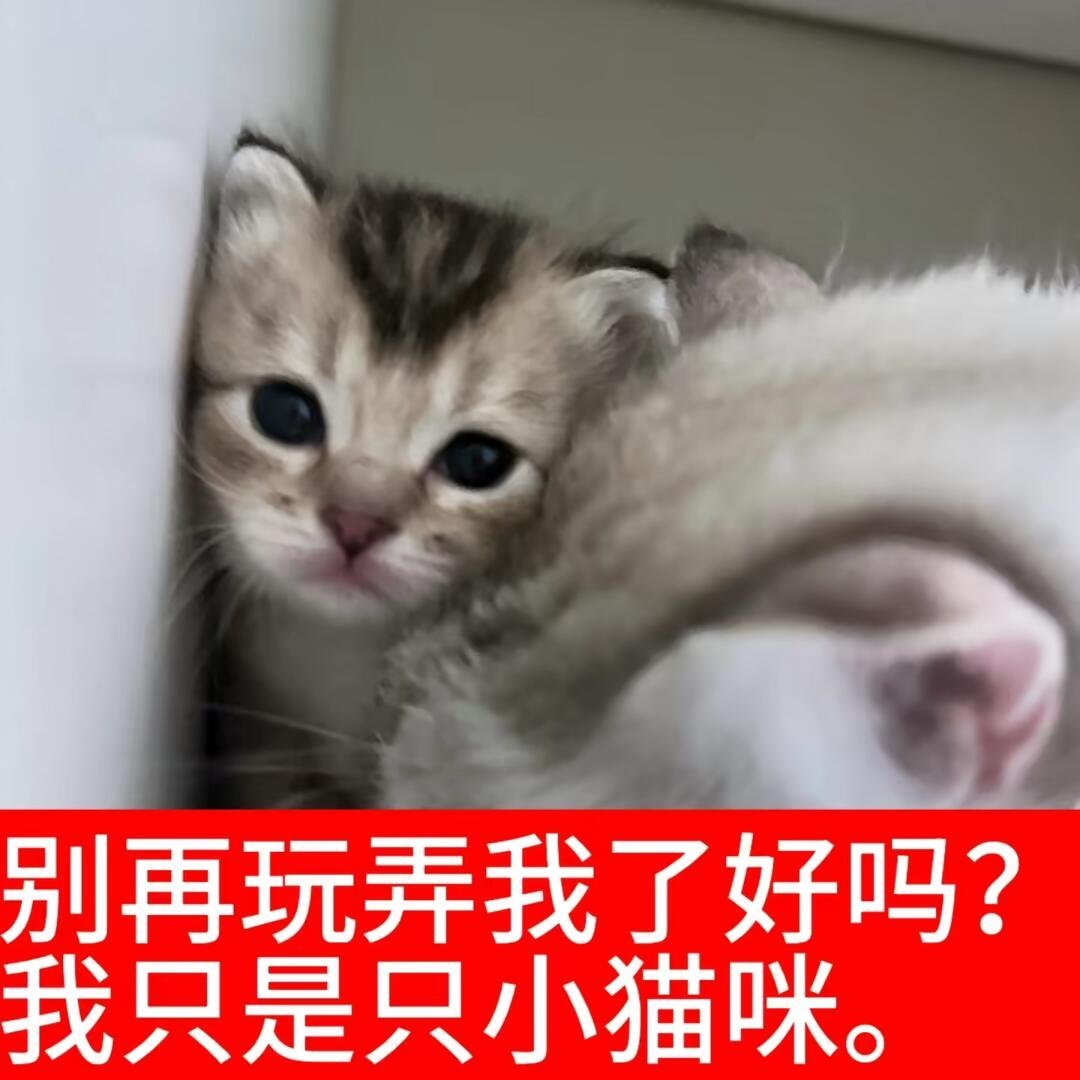 是不是还要一个月才能见到小包子