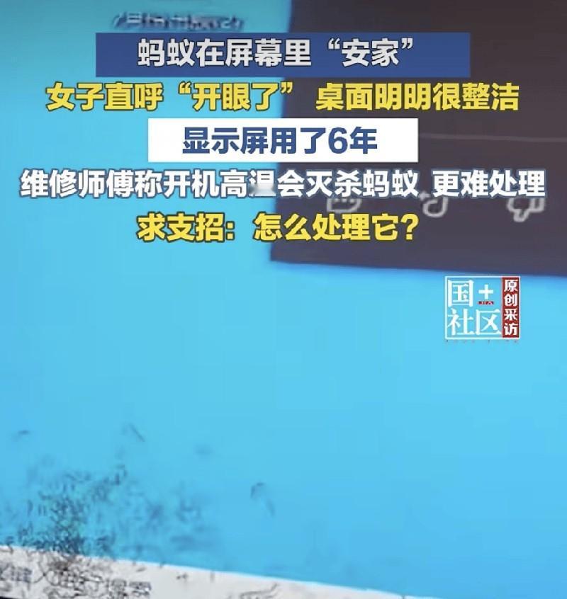 女子发现蚂蚁爬进自己电脑显示屏“筑巢”！当事人：显示屏用6年

电脑屏幕里突然出