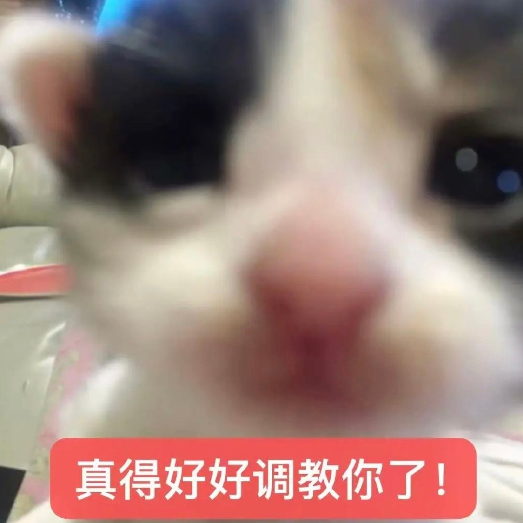 好命苦啊，为啥我的帖子发不进超话