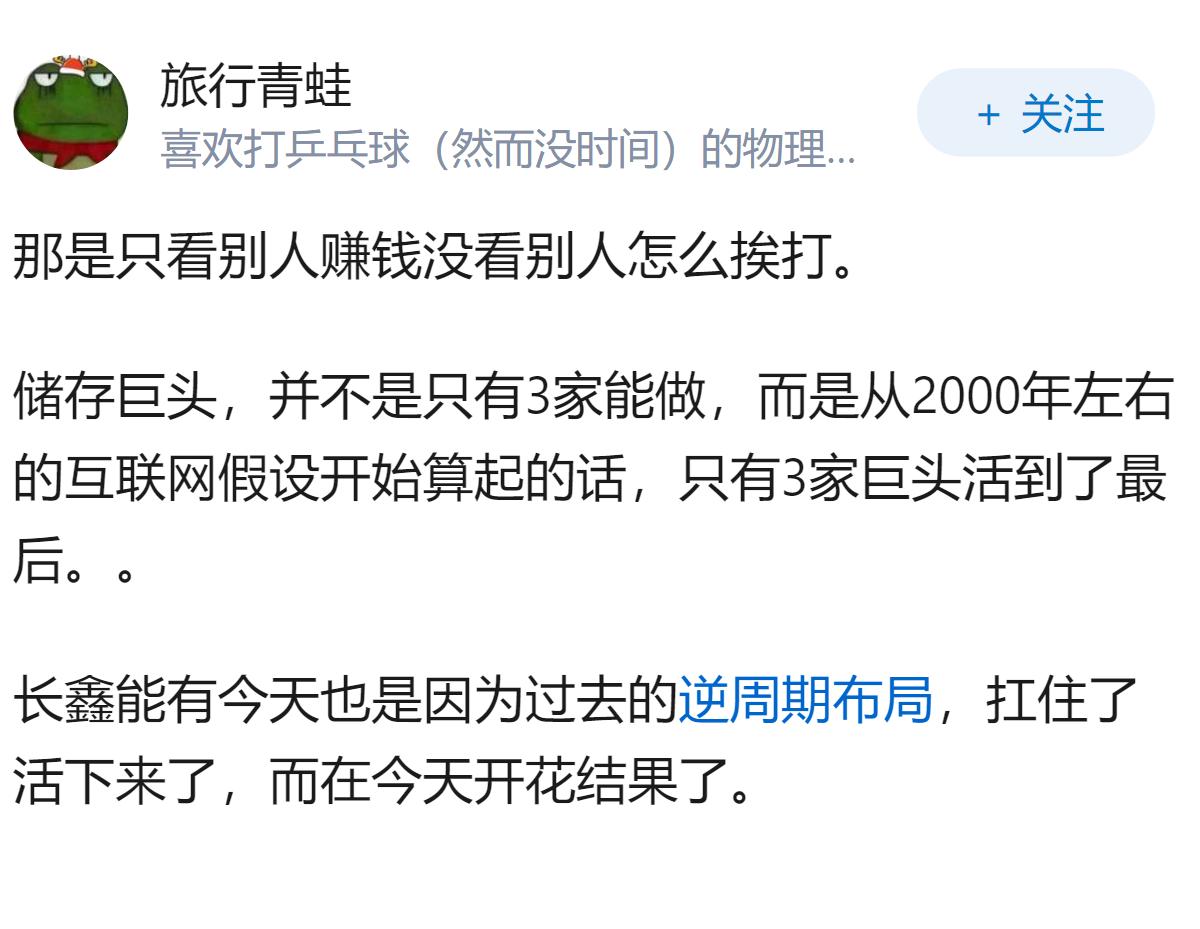 国内为什么没有半导体公司和长鑫存储抢市场?