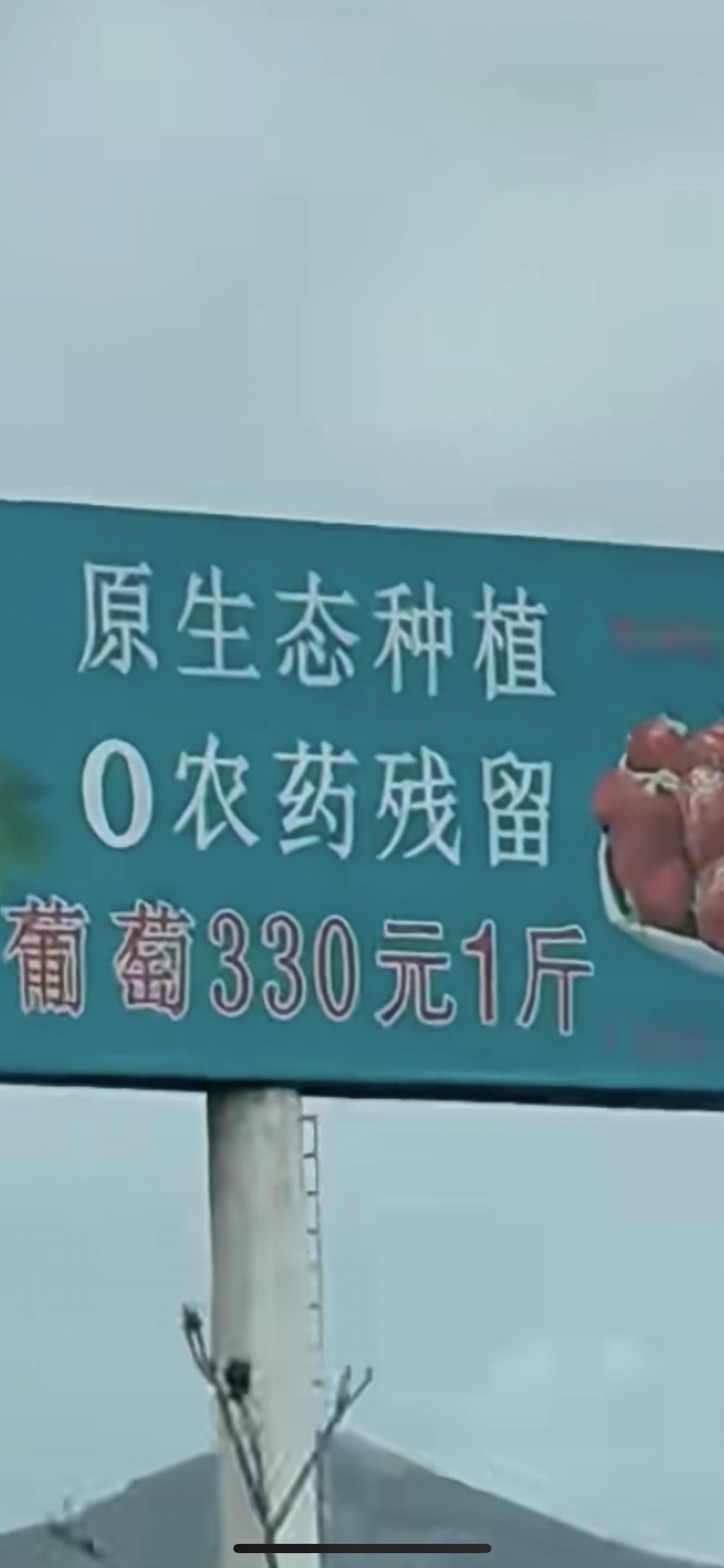 2月23日辽宁，“葡萄330元1斤、草莓360元1斤，广地辽宁熊岳”广告惊呆网友