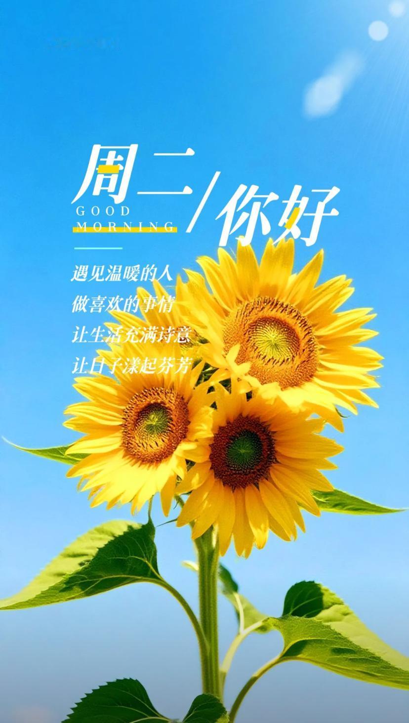 秋晨寄语，翻过八月扉页，金秋九月蓄力向上。
2026./09.01.
[微风][