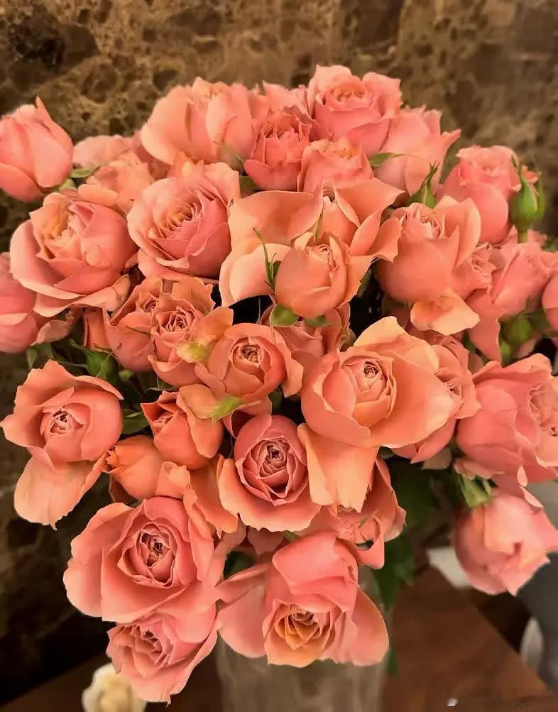 玫瑰虽美，却又带刺，所以两全其美的事情在这个地球上是很少见的。FW