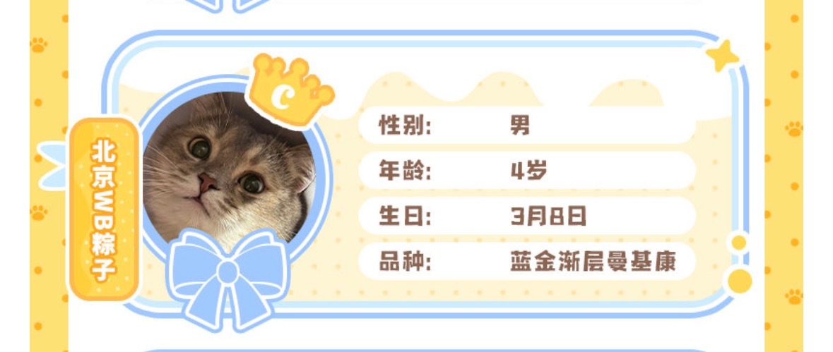 我担： 