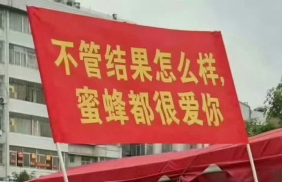 你是最棒的