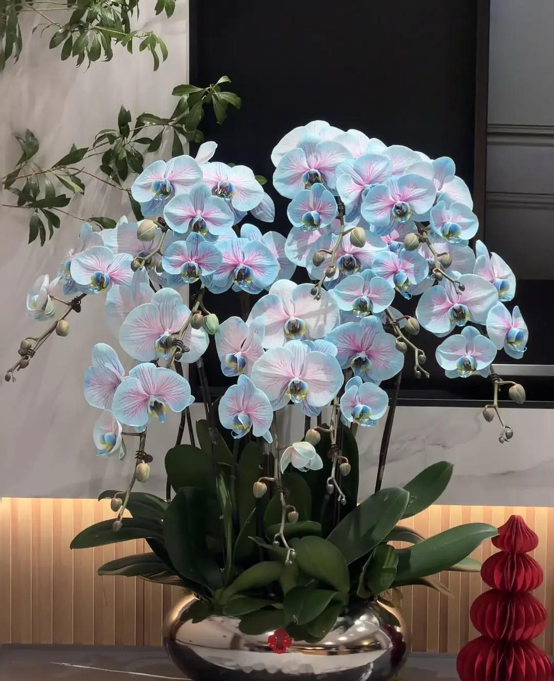 郫县网友整理的鞠婧祎《千香》造型配色，能把这么多巴胺的配色穿出清新干净感也就是鞠