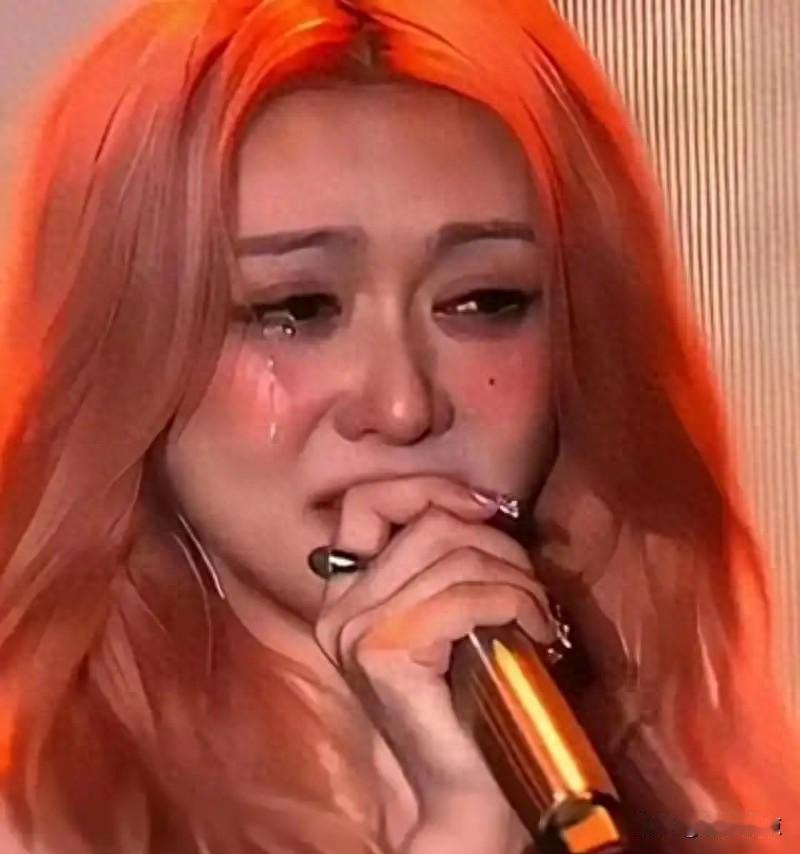 薛凯琪唱到一半突然停了，全场安静得能听见呼吸声，没人知道她那一刻到底经历了什么。