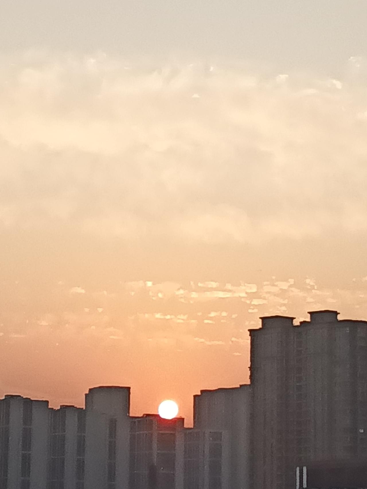 一张图证明秋天来了