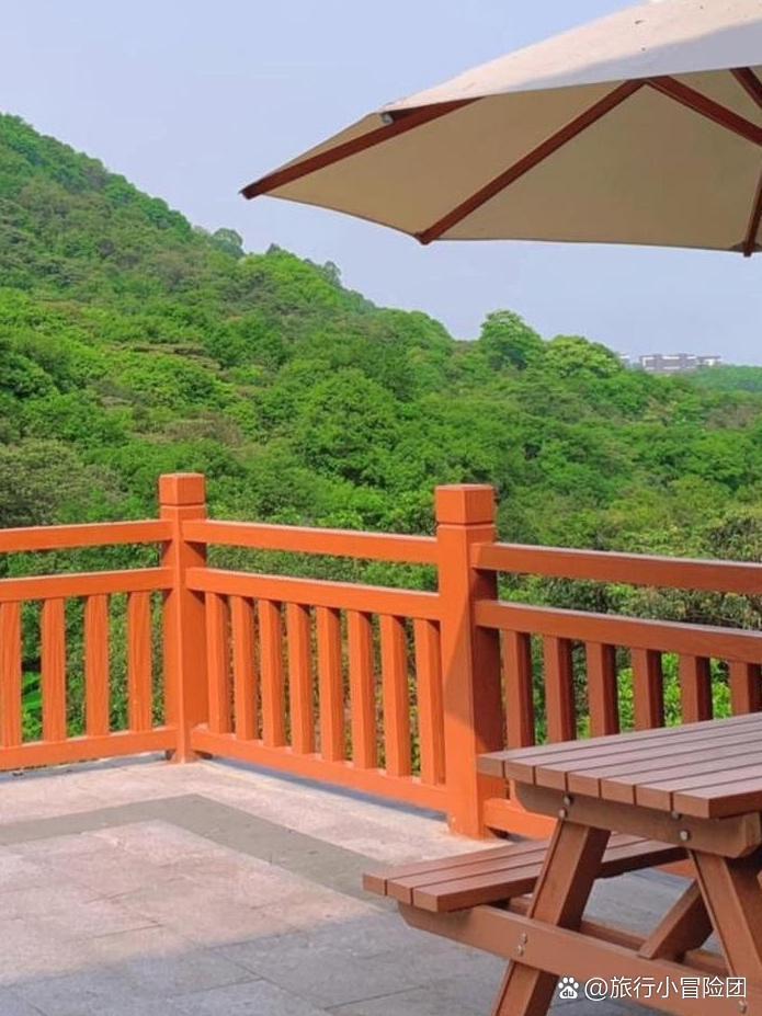 🌿黄山鲁森林公园一日游路线

周末想避开人潮？实测这条路线既能打卡经典景点，又