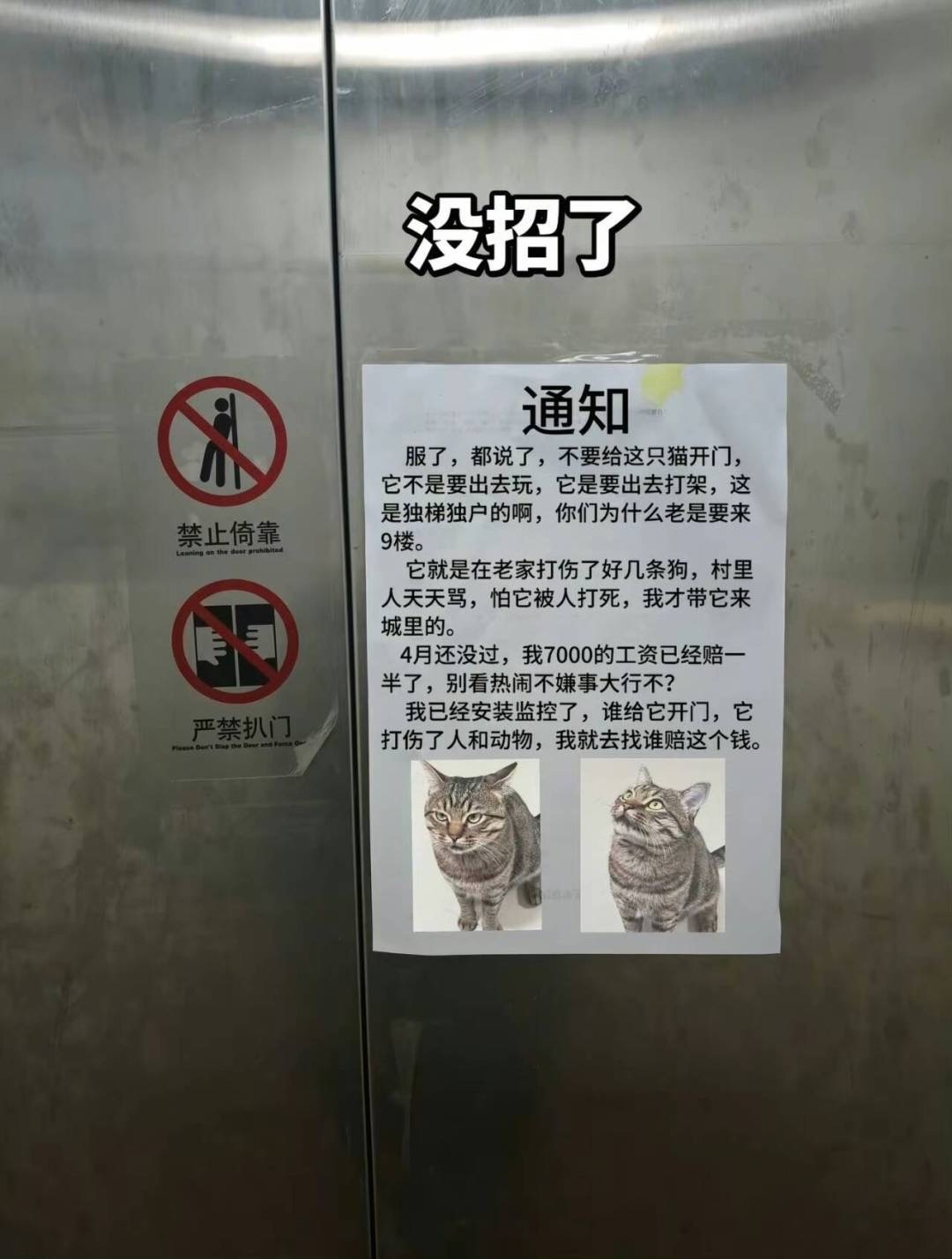 战狂基米 