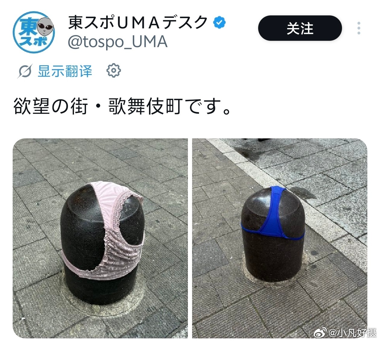日本最近因垃圾遭到质疑，而新加坡《联合早报》今日发了一个叫李欣颖的文章：“初次到