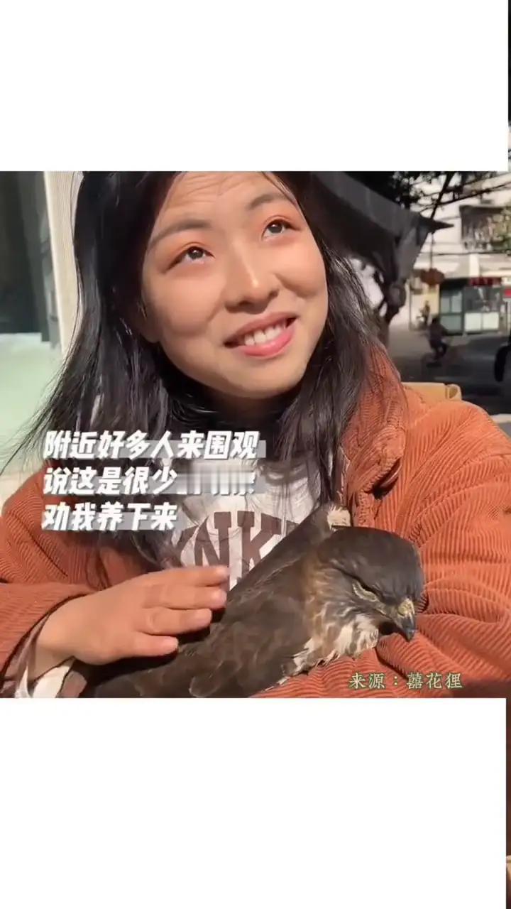 女孩在户外晒太阳，一只游隼突然飞入怀中，温顺亲人，久久不愿离去。不少网友直呼太治