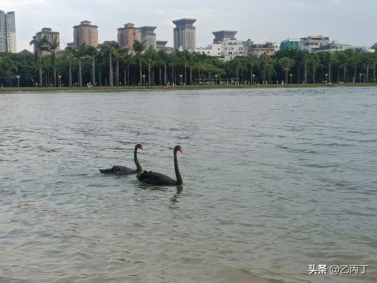 弥勒湖泉夜色：暮色湖畔，晚风漫过小城
        告别锦屏山的千级石阶，回到