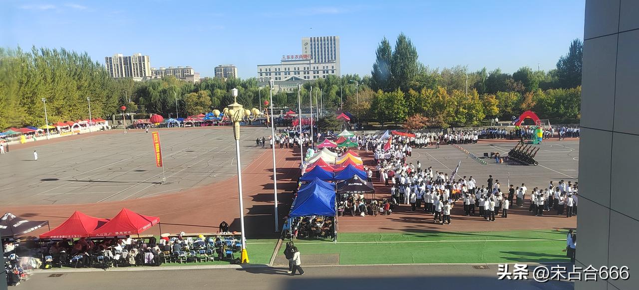 我是一个很安静的人。今天学校开运动会，其他老师都有很多体育项目，我一个项目都没有