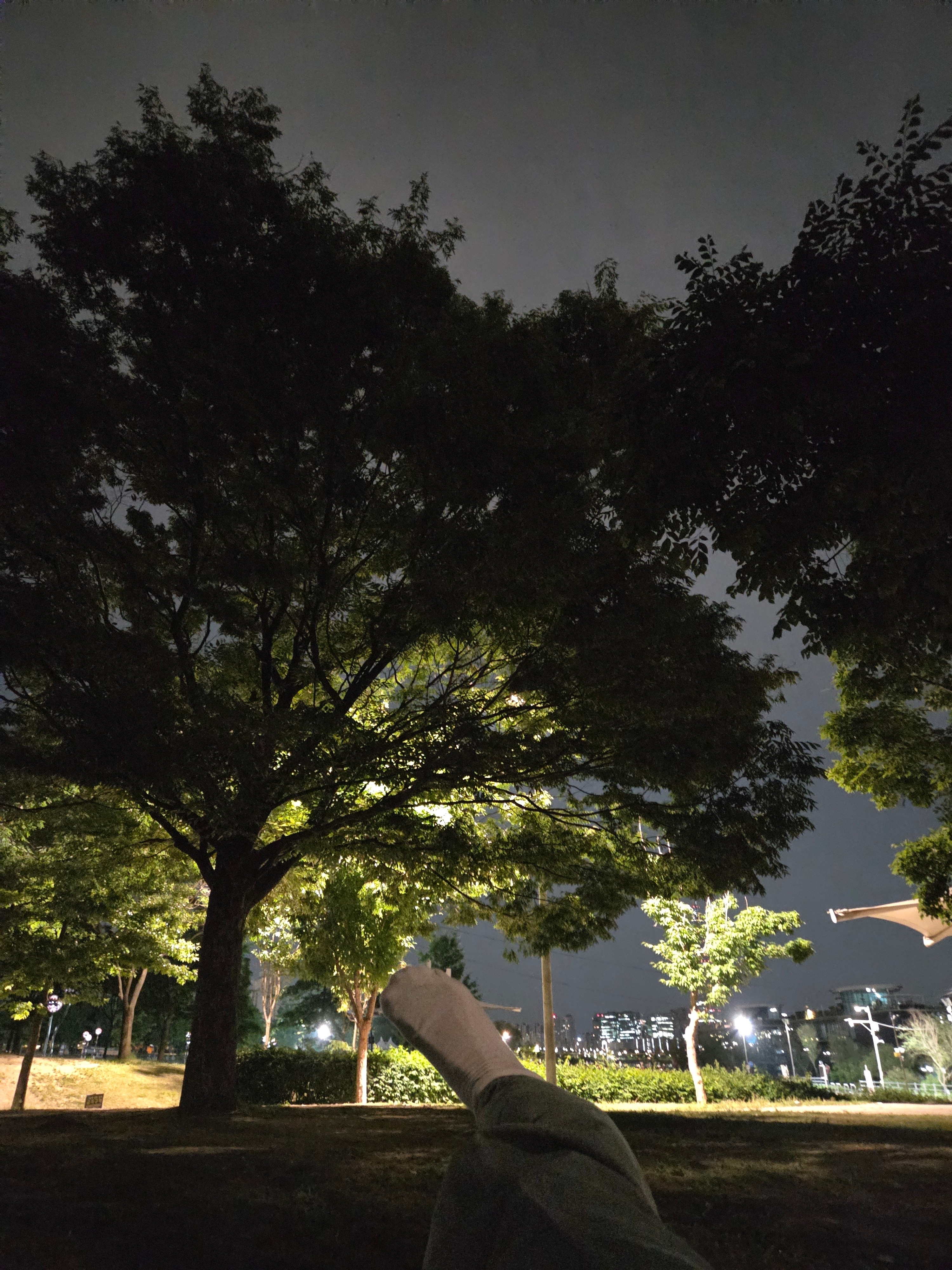 凌晨又来碎碎念的秀比...阔耐呀另外晚上又有直播看！真幸福 