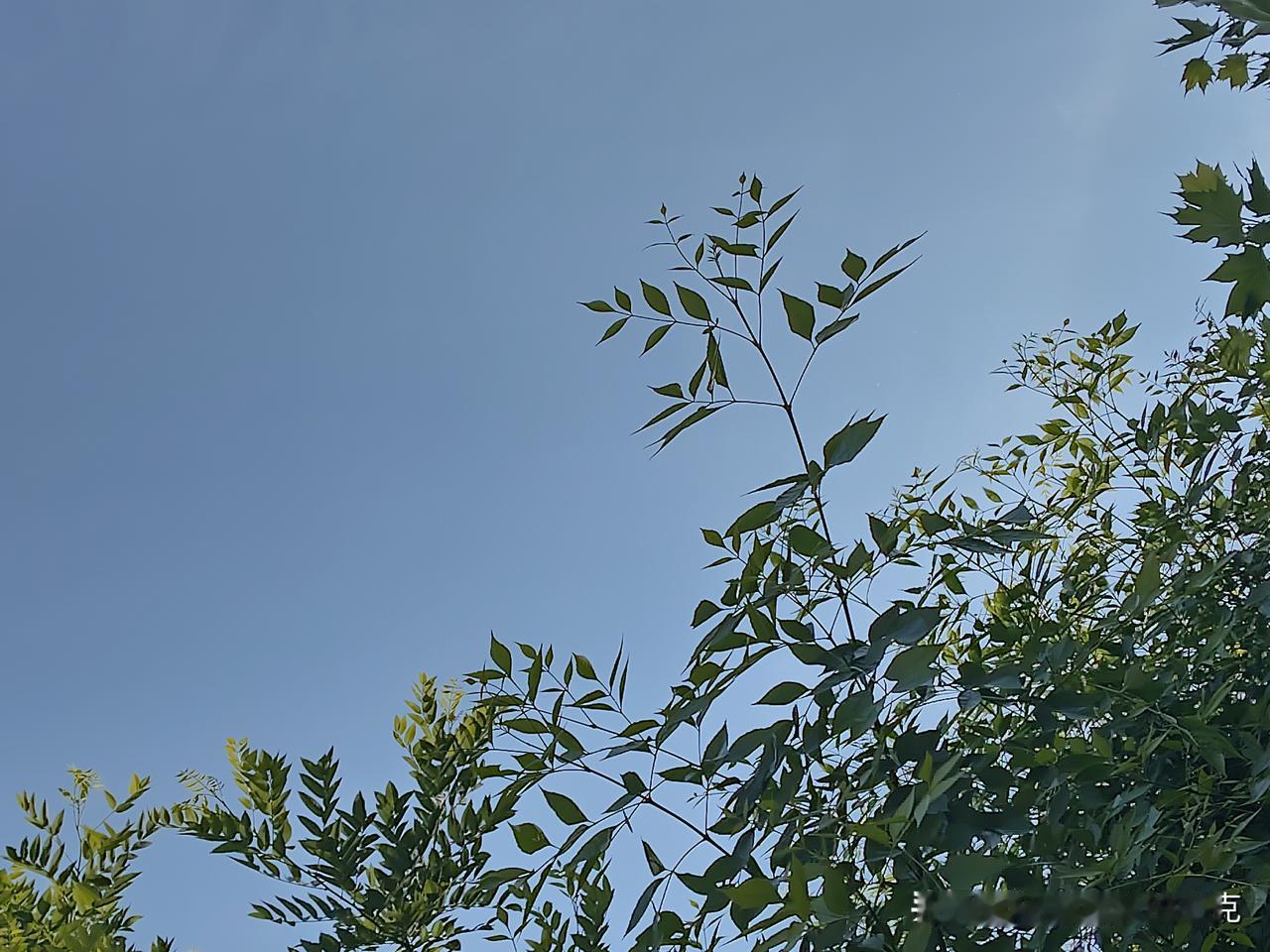 又是崭新的一天
五一第一天
一天好心情