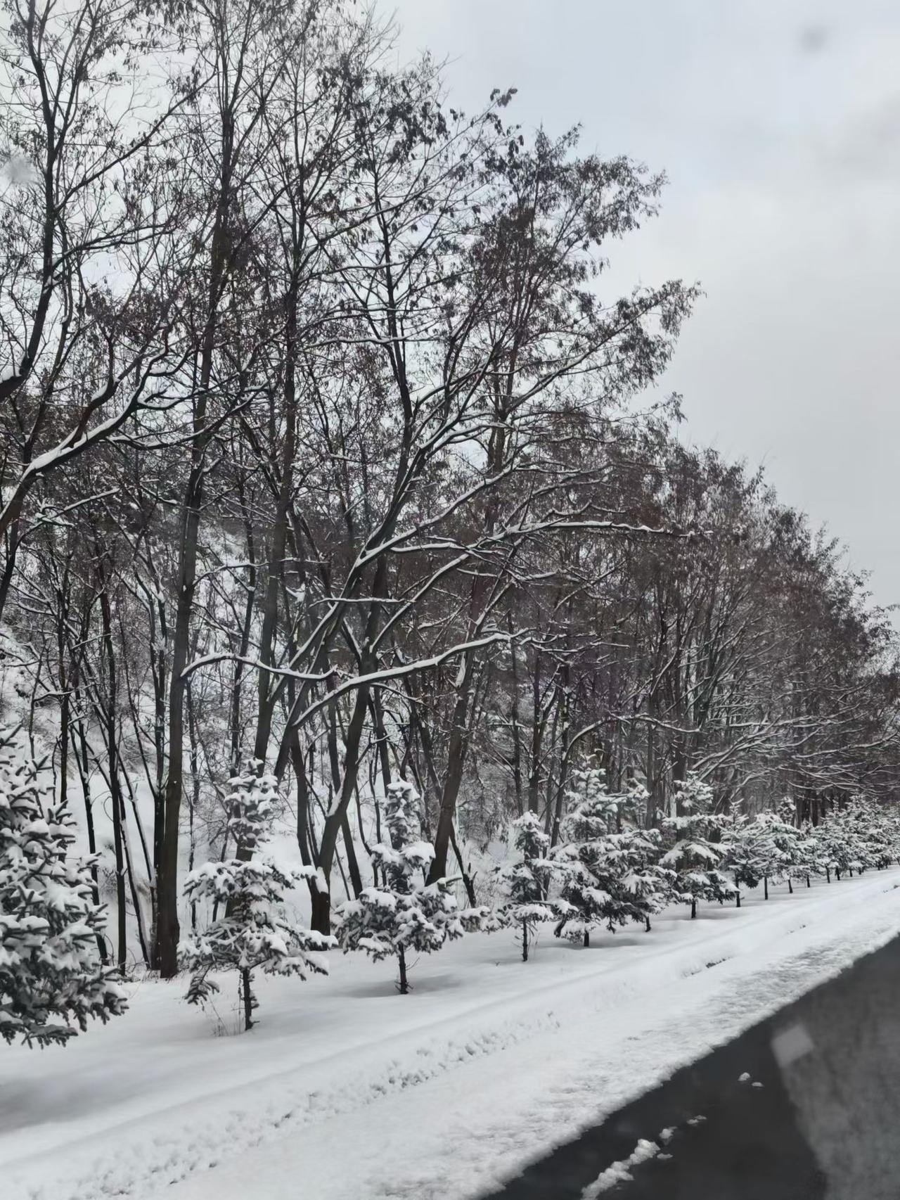 今天我在的这个小县城，天气阴天，比较冷，最高温度7度左右，冷清清的感觉。

今天