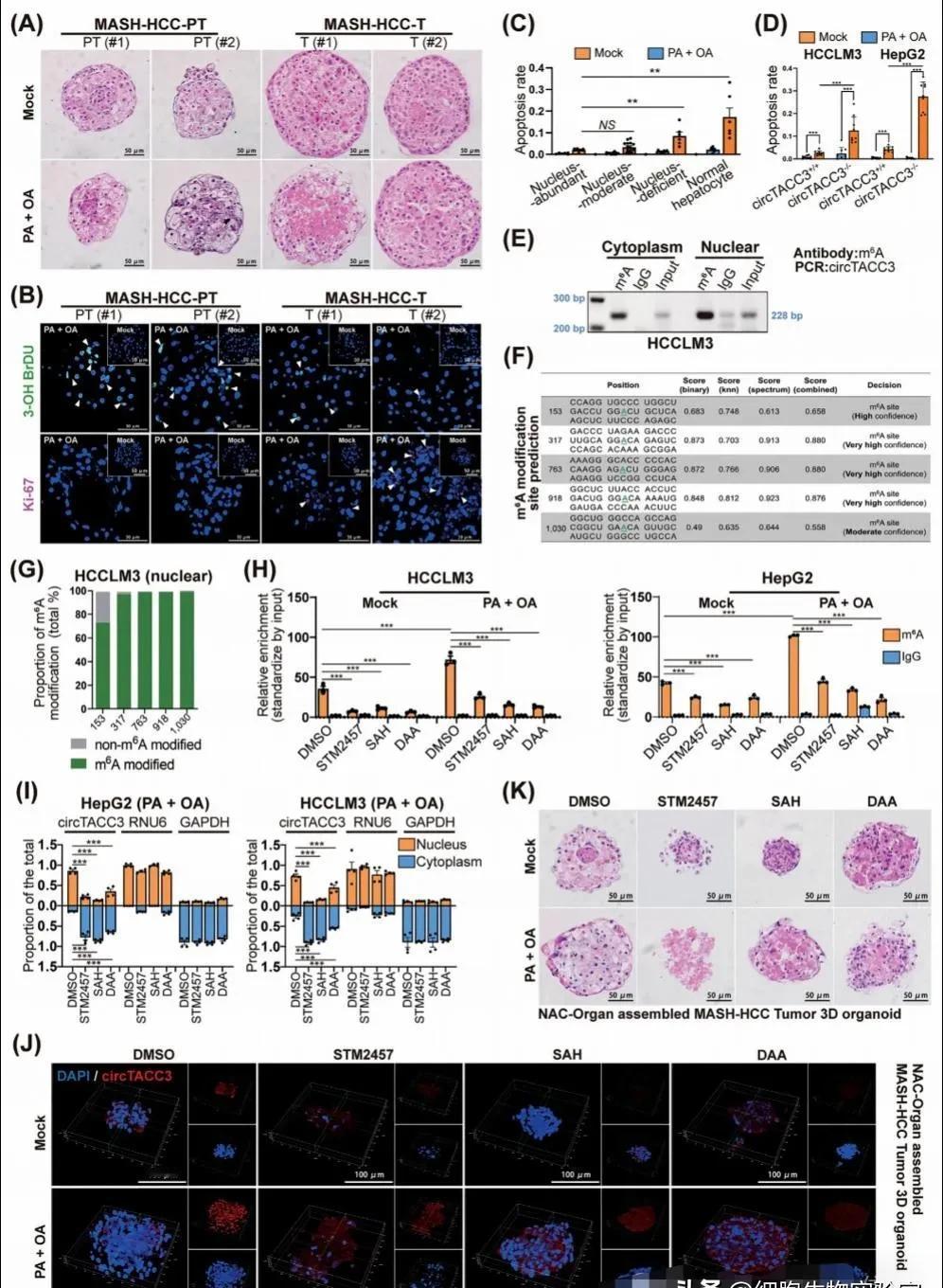 国自然医学部申请火了，8.5万份标书挤破头，资助率才16.2%。
想上岸？
得有