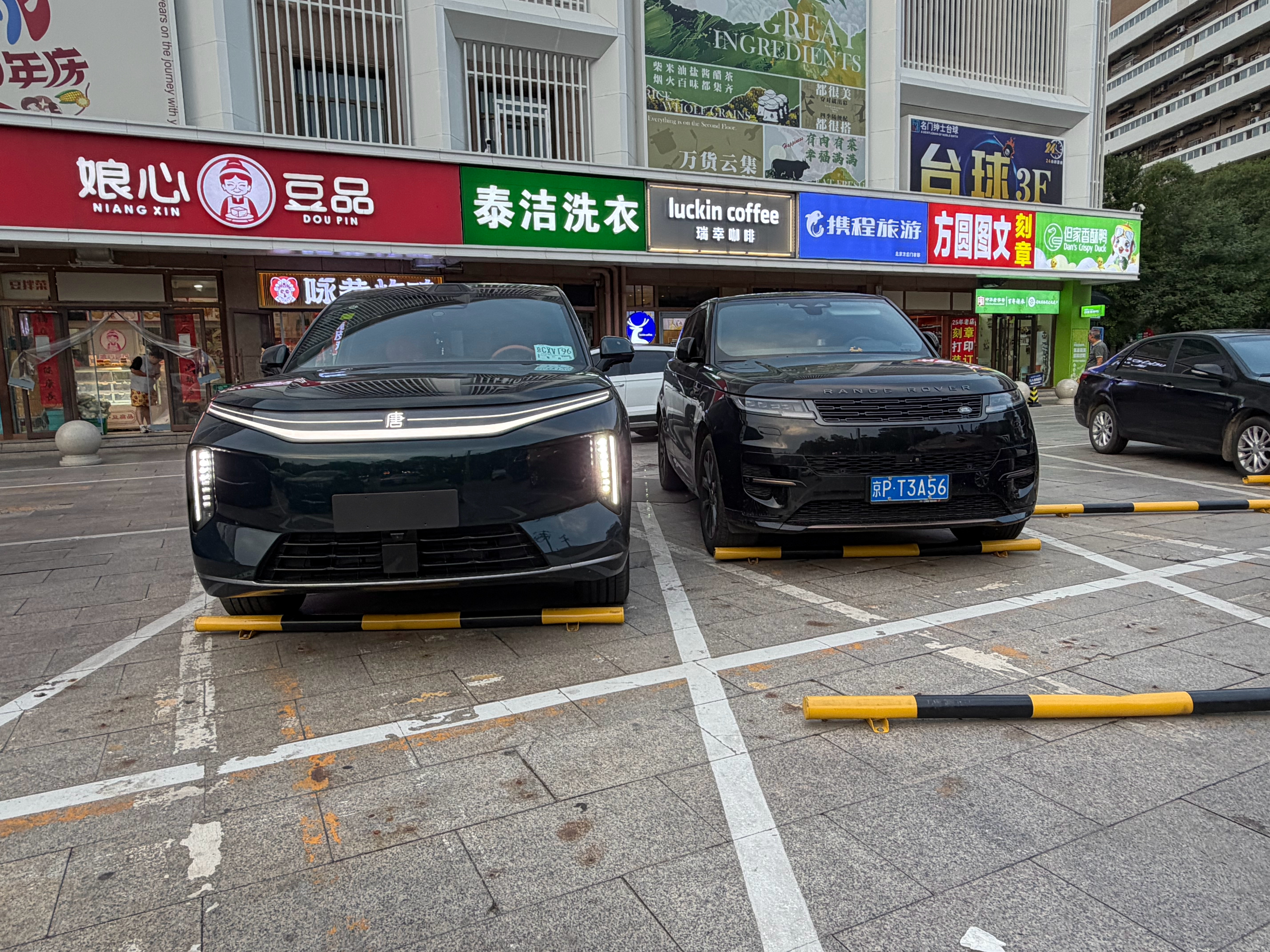 谁有虎子可以借我开开 