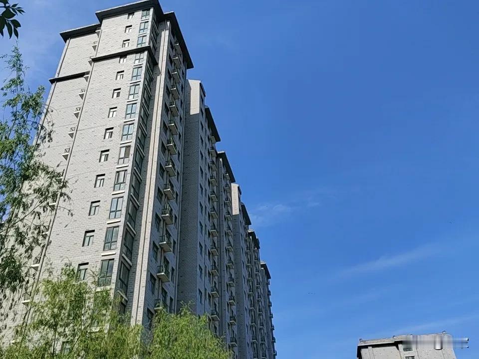 都2026年了，还有如此愚昧无知者催收，我是该笑还是该笑呢？
事情是这样的，昨天