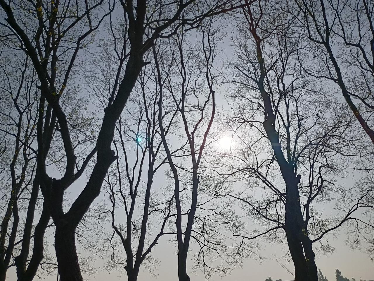 你有哪些春日踏青好去处漫步沭河眫，阳光明媚，红肥绿瘦，再去小寨沟走走，心情也有另