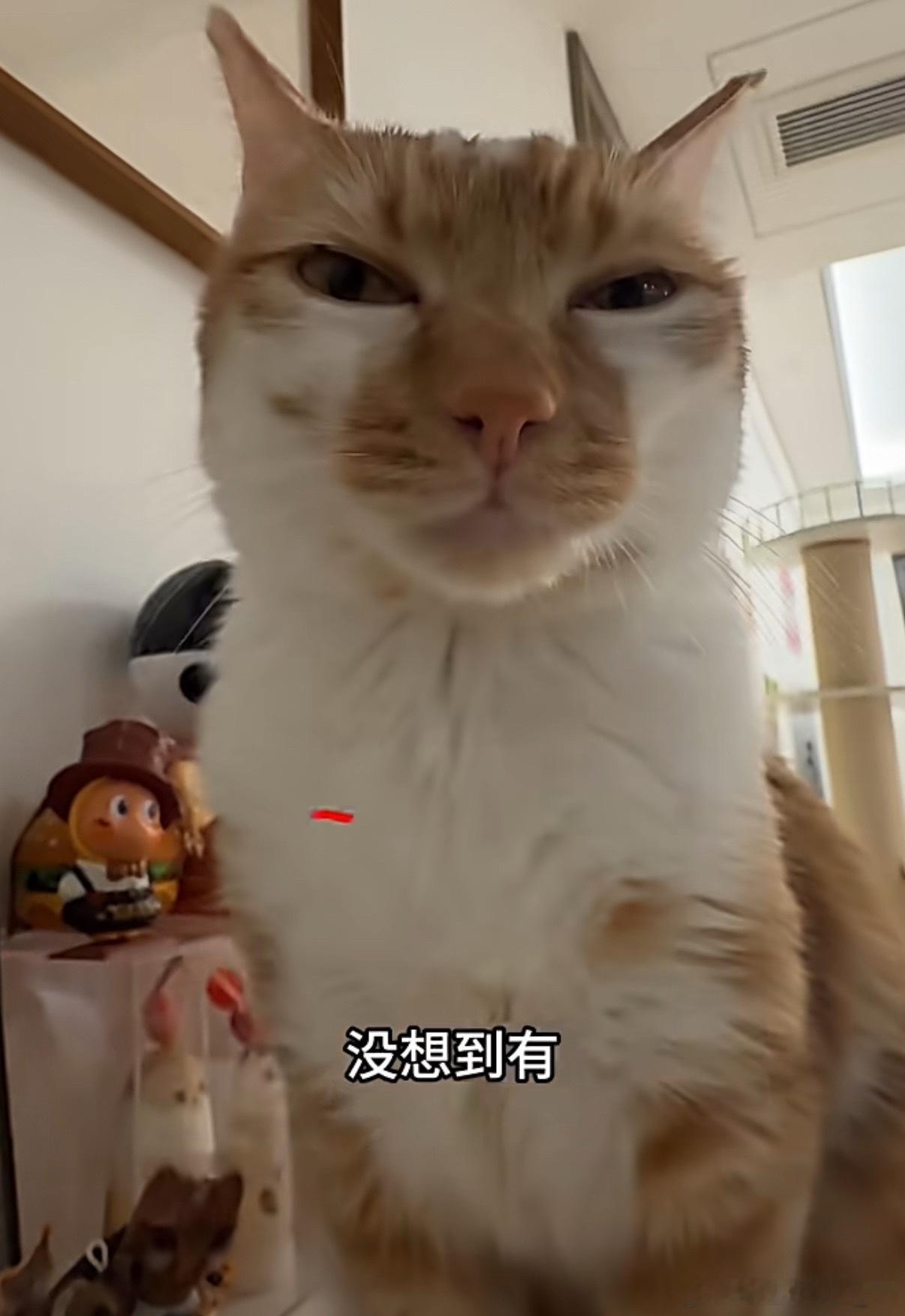 支付宝辟谣狗腿付想象下以后出门不用掏手机，具身智能机器狗跟着你，扫一眼就能完成A