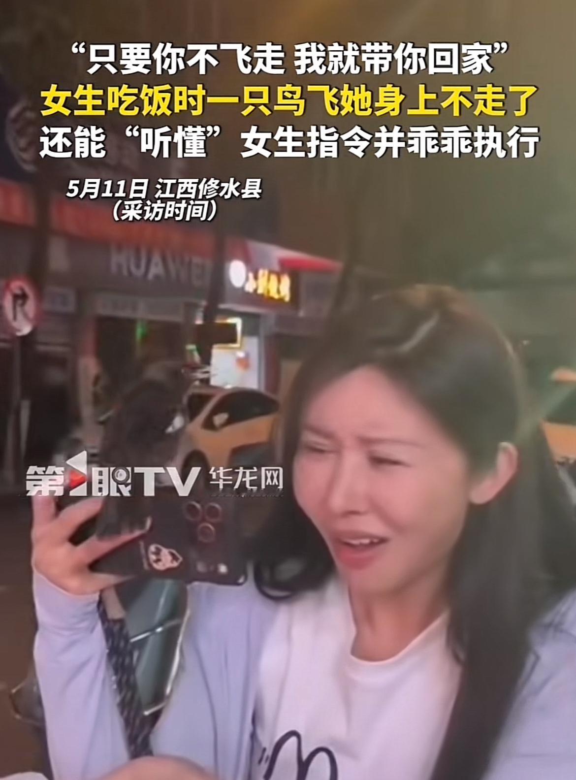 想起之前看到江西一个女生吃夜宵的趣事。女生正好好吃着饭呢，一只小鸟突然飞到她身上