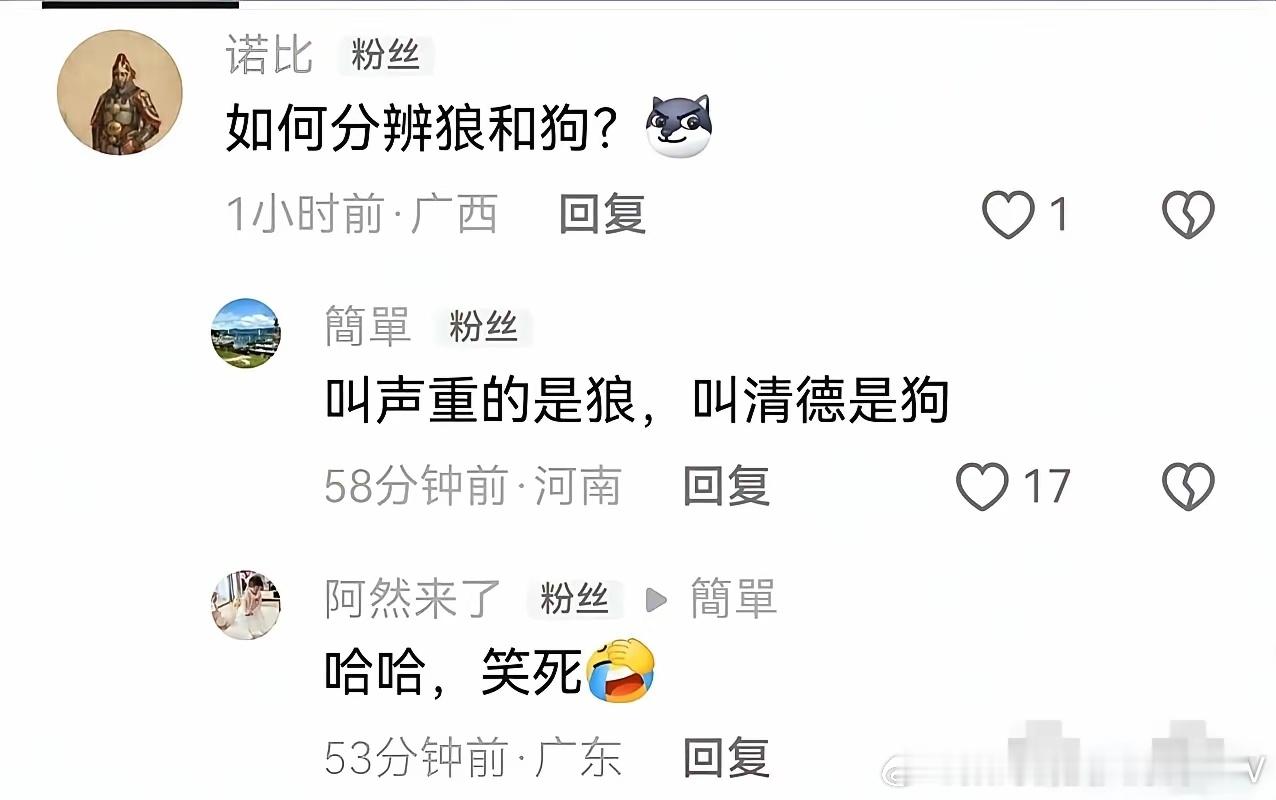 如何分清是狗还是狼？ 