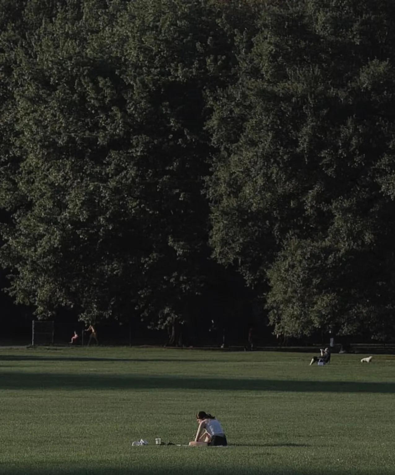 孤独，并不羞耻！

行至中年，孤独与我，竟如一份礼物一般珍贵。

无论是在职场，