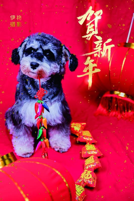 一人一句新年祝福 跨年钟声渐近，我也来送份新年祝福。愿2026年，三餐四季温柔有