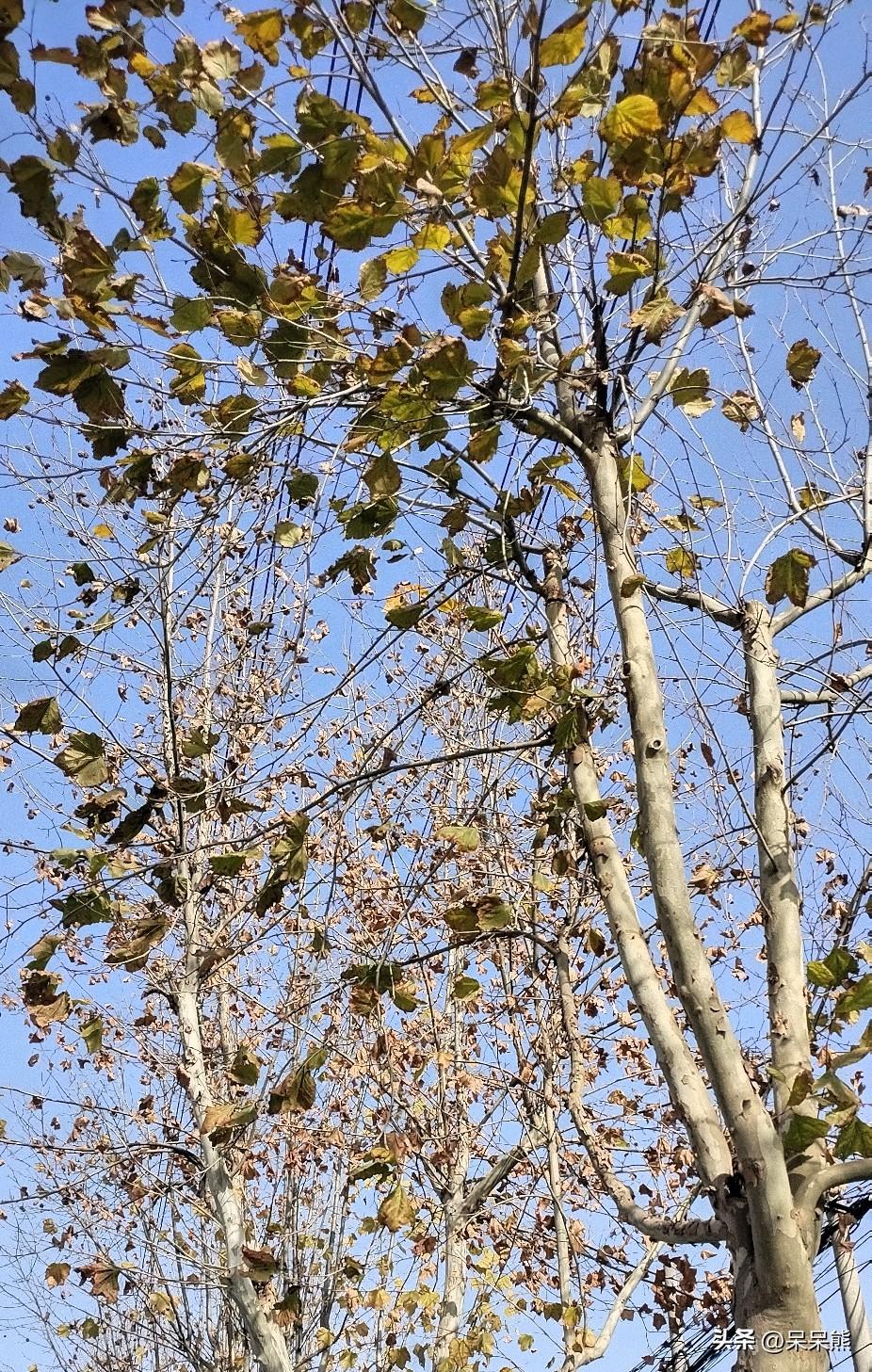 小短剧都这么好看了吗？越看越想看。不得不承认，今天除了上班都在刷小短剧，刷了一部