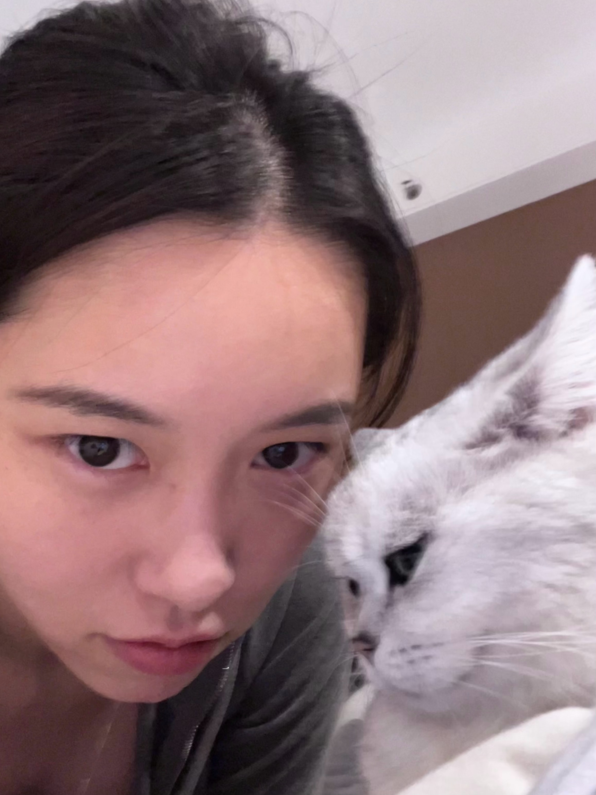 🐱 ​​​