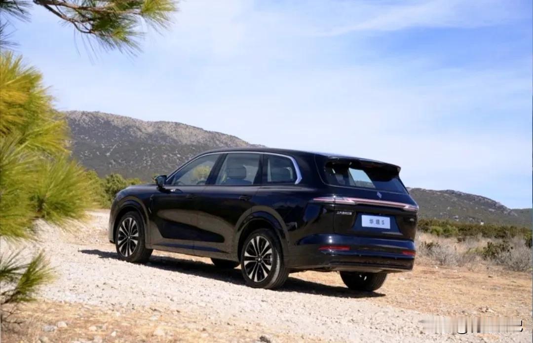 我就想问一句：现在还在开燃油车的朋友，你们属于哪一类？

1️⃣ 不差钱（加得起