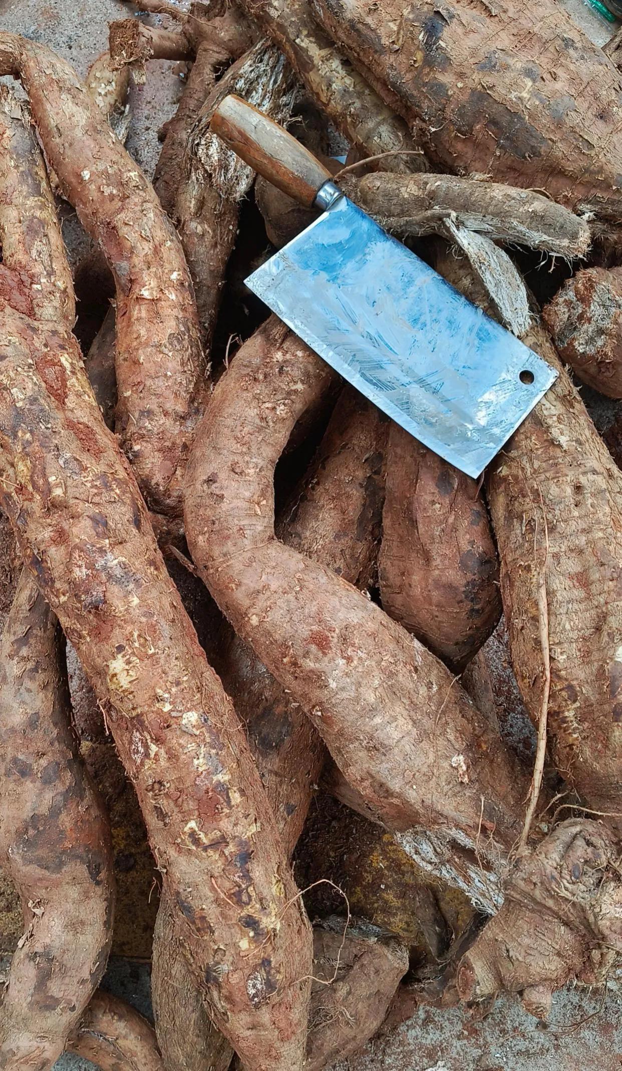 在市场上看到一大堆这样的树根，我问了一下价，4块钱一斤哦，可不便宜，一根有6、7
