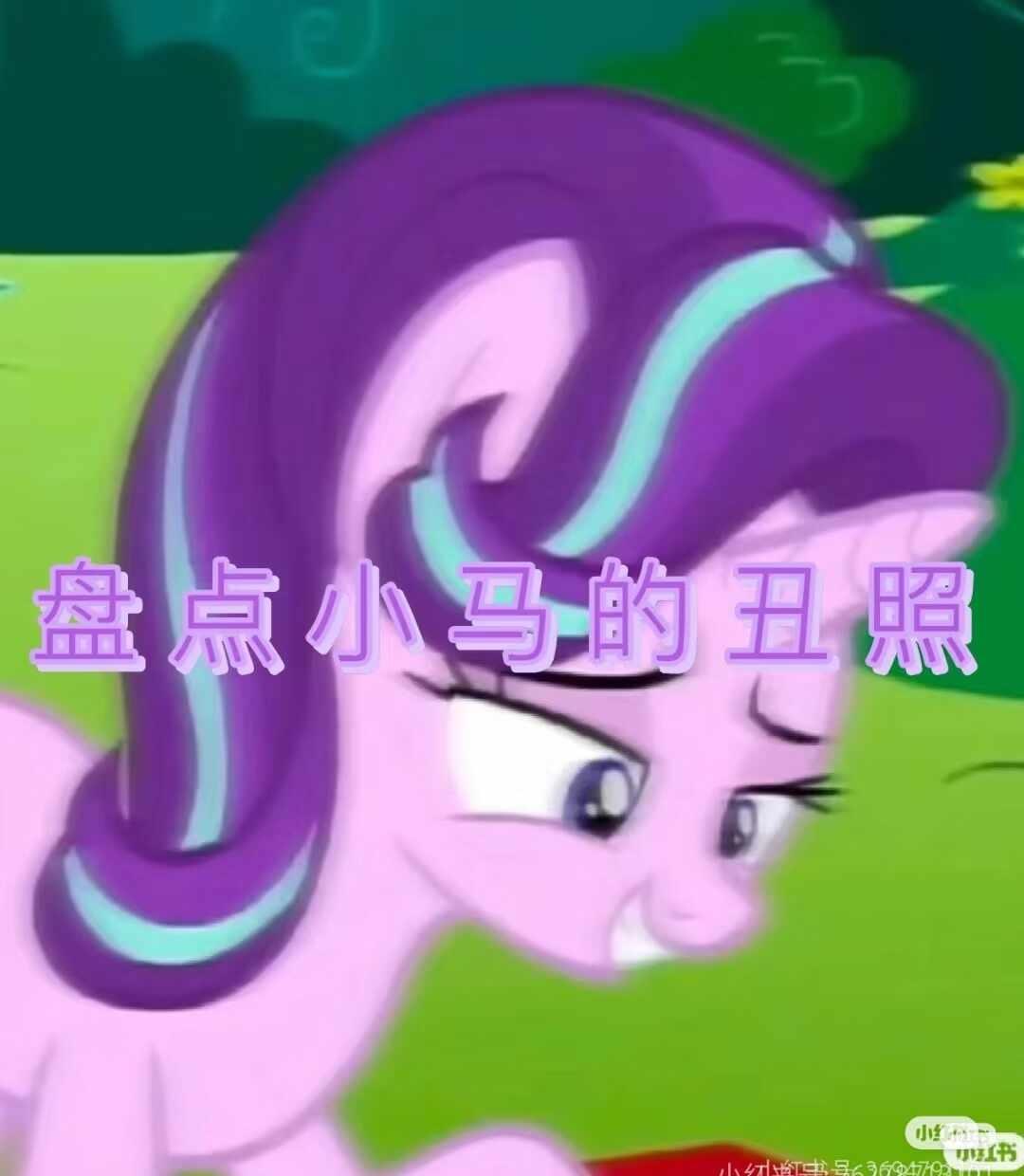 小马宝莉丑照
小马宝莉