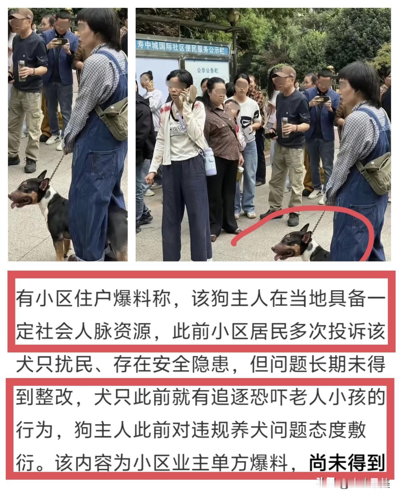 直到今天才知道，
原来这个女狗主人身份应该不一般！
仁寿狗咬人事件发生后，有跟她
