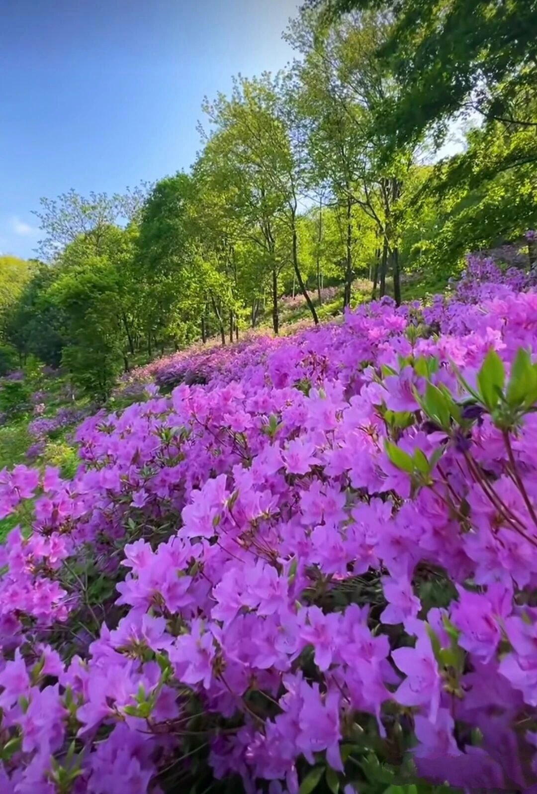 【《天道》揭秘：人与人之间，有利益连接，关系才长久】老古话都说没有永远的朋友，只