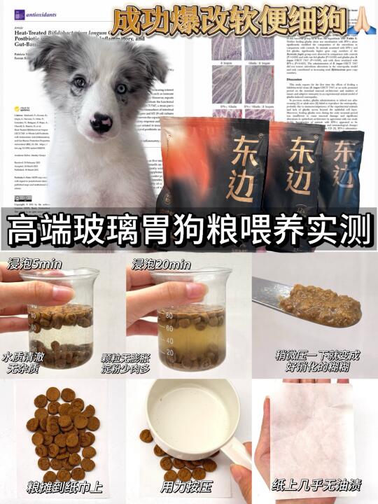 贵有贵的道理！软便狗靠玻璃胃狗粮逆天改命