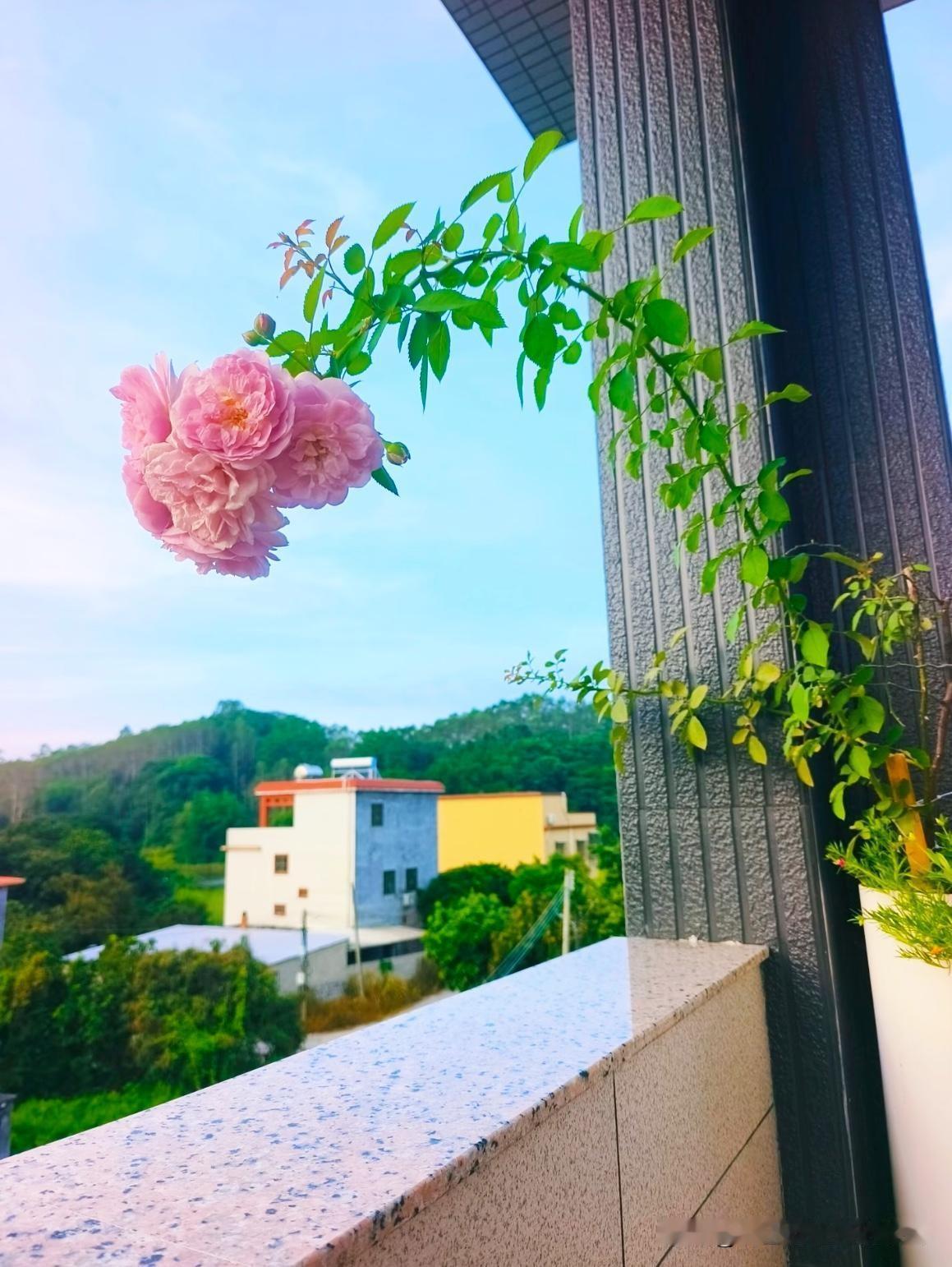 很现实的一段话：

“你试试，让你亲儿子、亲闺女，

每个月一号准时给你打100