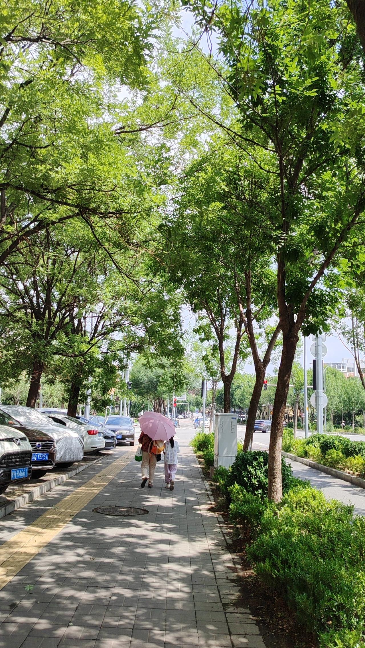 《胯下之辱，藏锋于心》
韩信年少时，被恶少当众挑衅：“要么刺我，要么钻我胯下。”