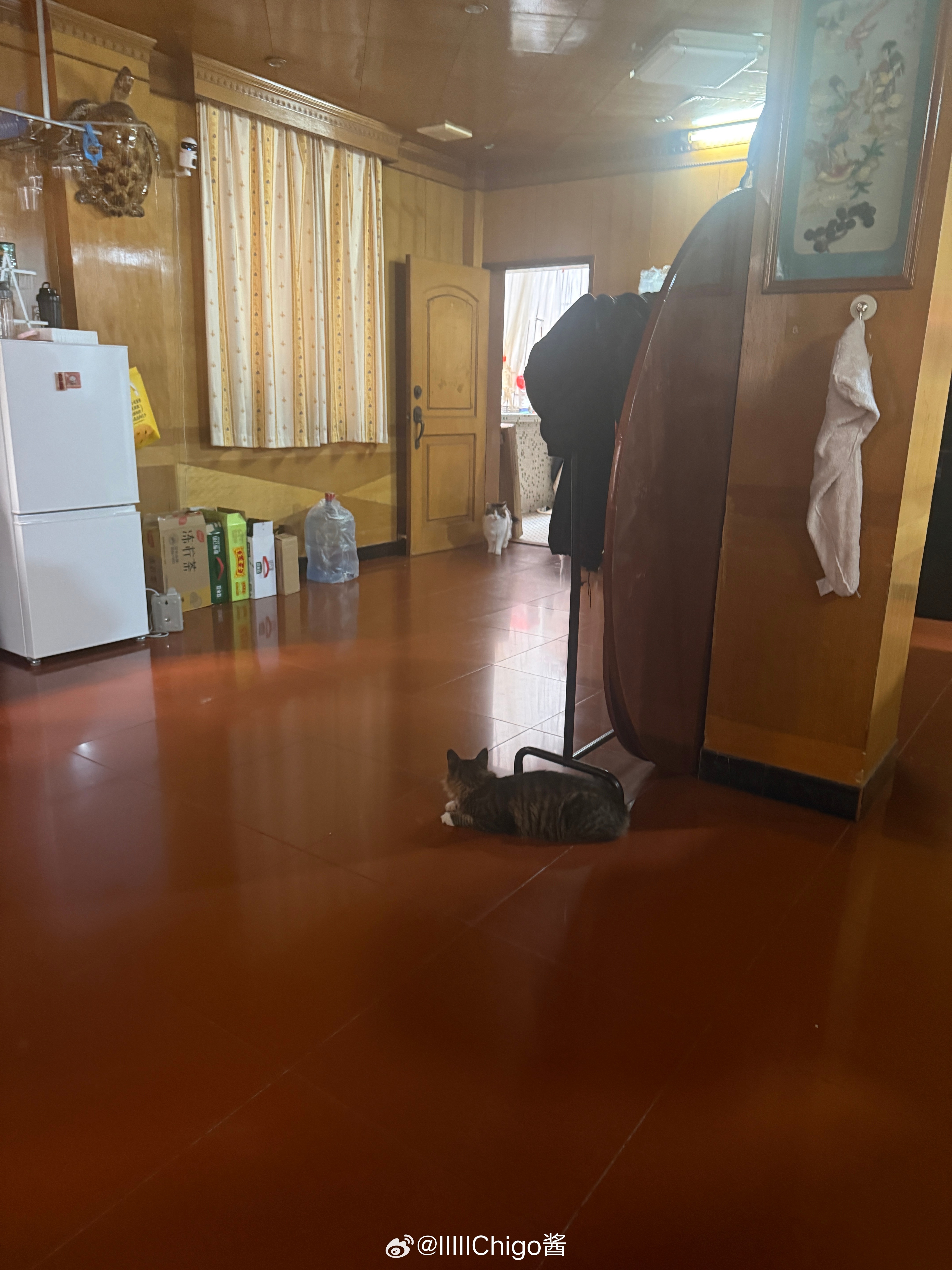 两方会谈琪琪太子 ​​​