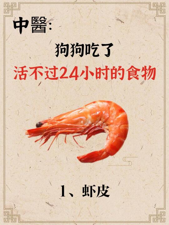 中医：真的要狗命！这些隐患在威胁狗狗健康