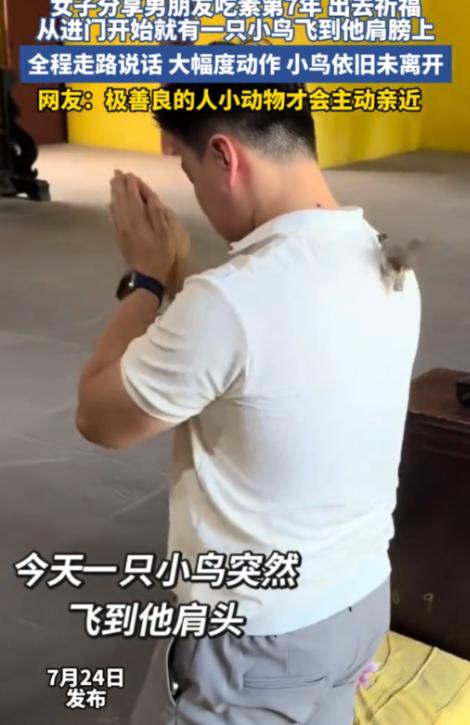 四川成都一对情侣前往寺庙还愿，坚持吃素七年的男子，在还愿过程中突然被一只小鸟主动
