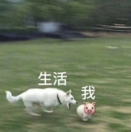 谁教的商家用芥末酱冒充山葵酱 我本欲幸福的享用夜宵 结果吃了一大口之后现在流着泪