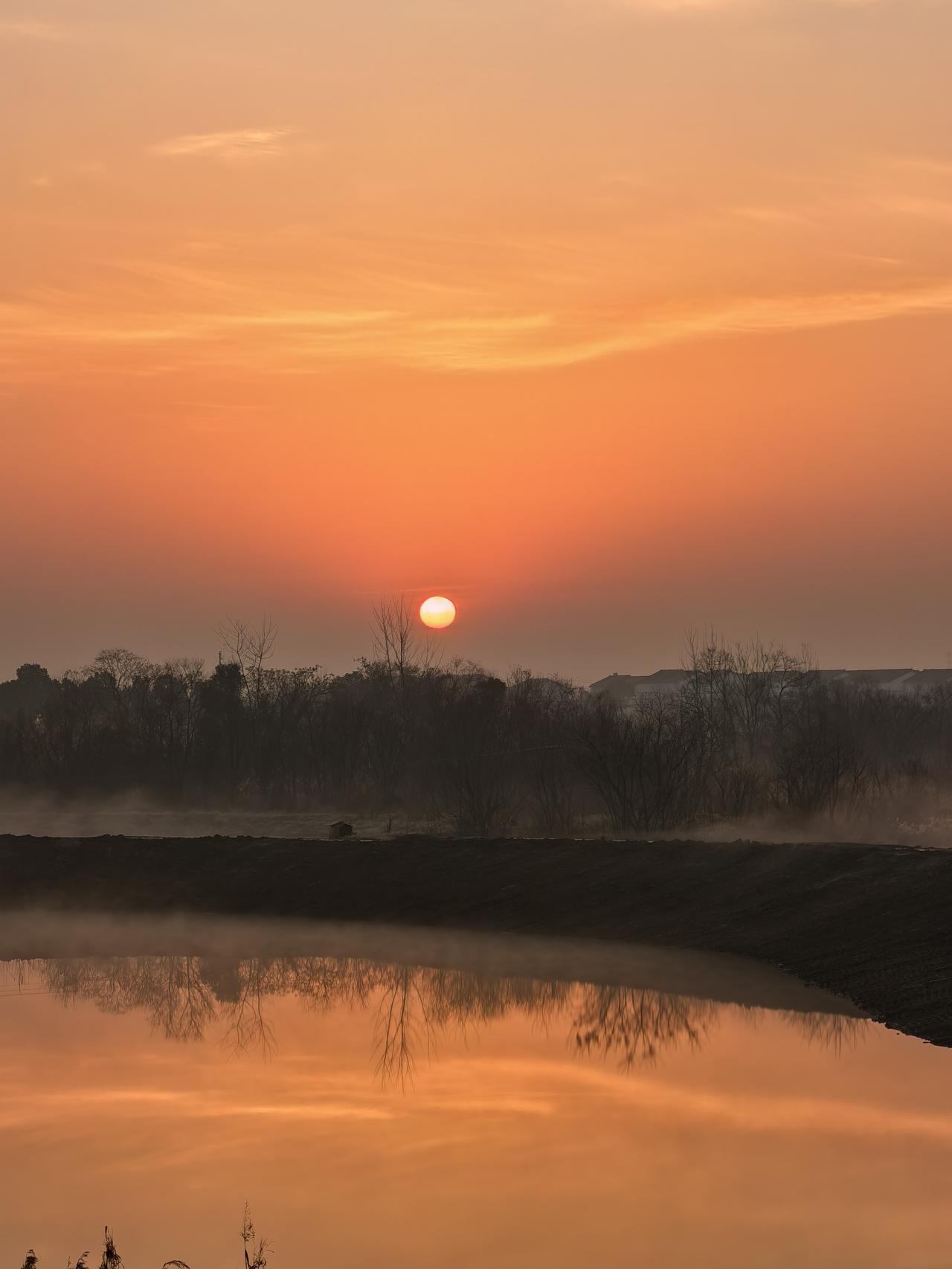 奋进江城共筑新篇清晨，阳光如金色的丝线，轻柔地洒在新洲邾城及周边乡村的每一寸土地